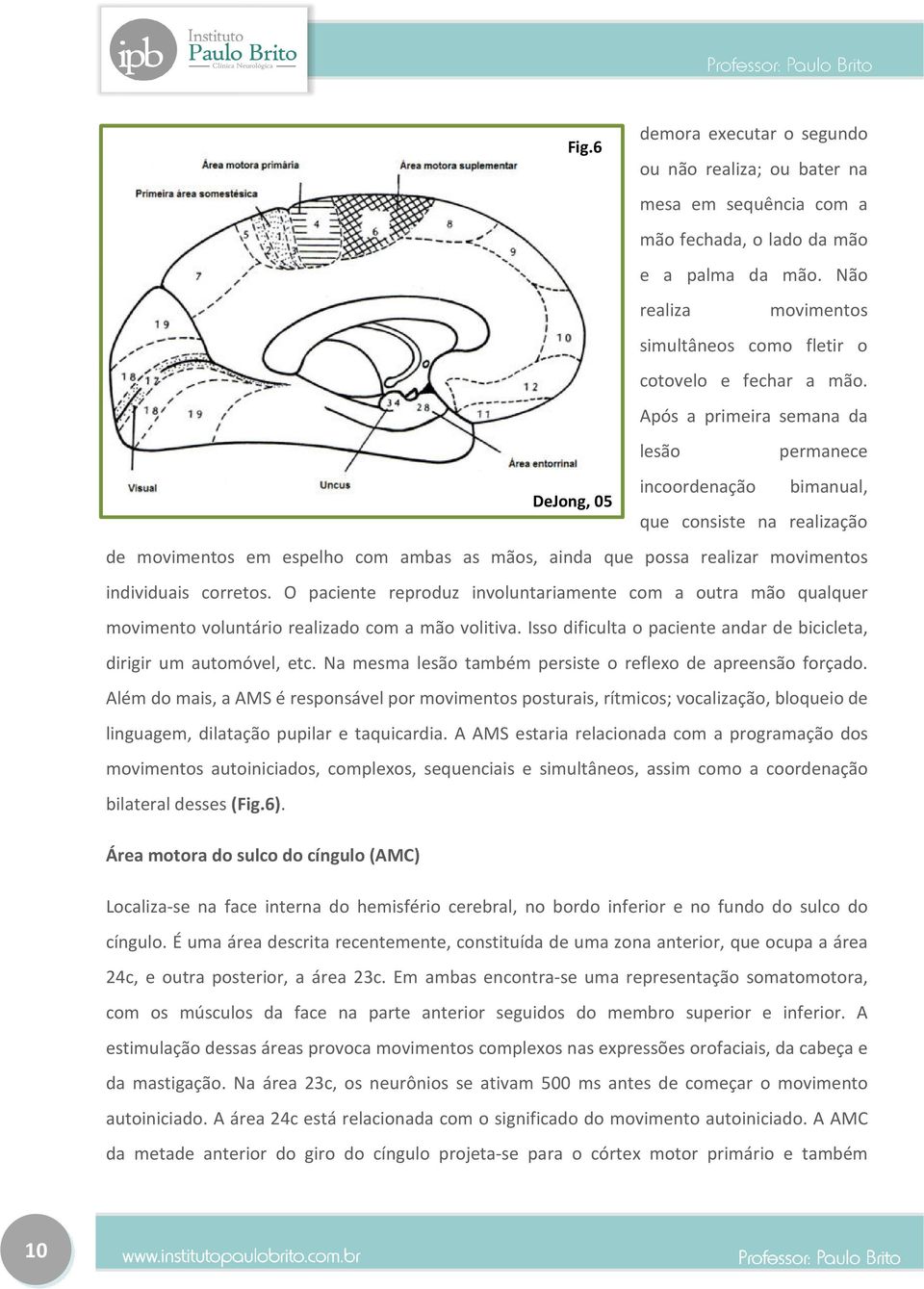 Após a primeira semana da lesão permanece incoordenação bimanual, DeJong, 05 que consiste na realização de movimentos em espelho com ambas as mãos, ainda que possa realizar movimentos individuais