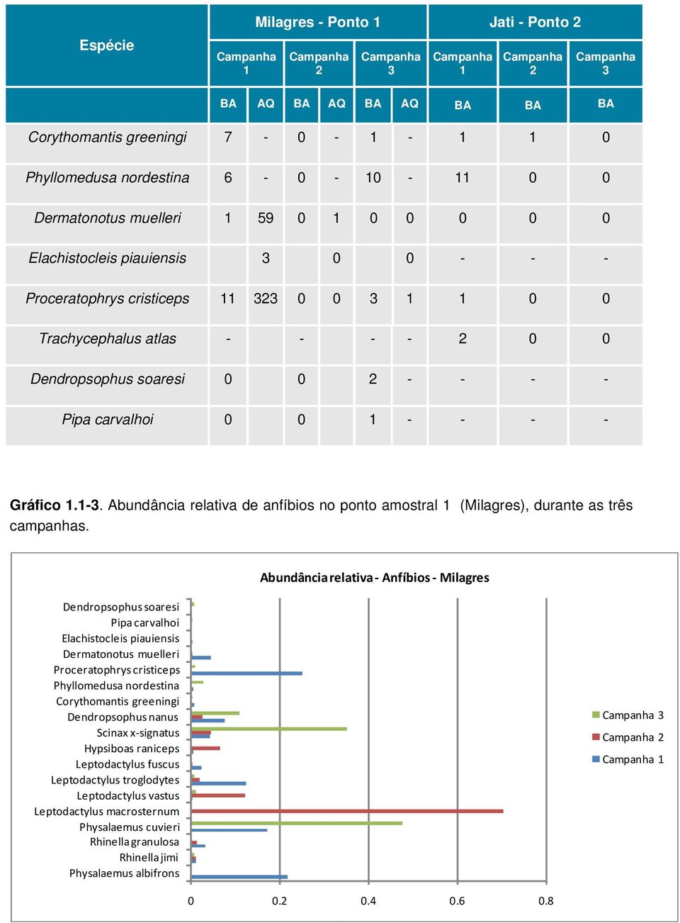 Aundância relativa de anfíios no ponto amostral 1 (Milagres), durante as três campanhas.