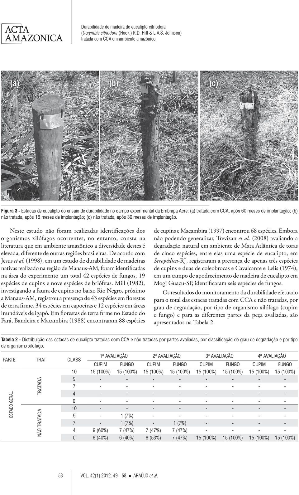 Neste estudo não foram realizadas identificações dos organismos xilófagos ocorrentes, no entanto, consta na literatura que em ambiente amazônico a diversidade destes é elevada, diferente de outras