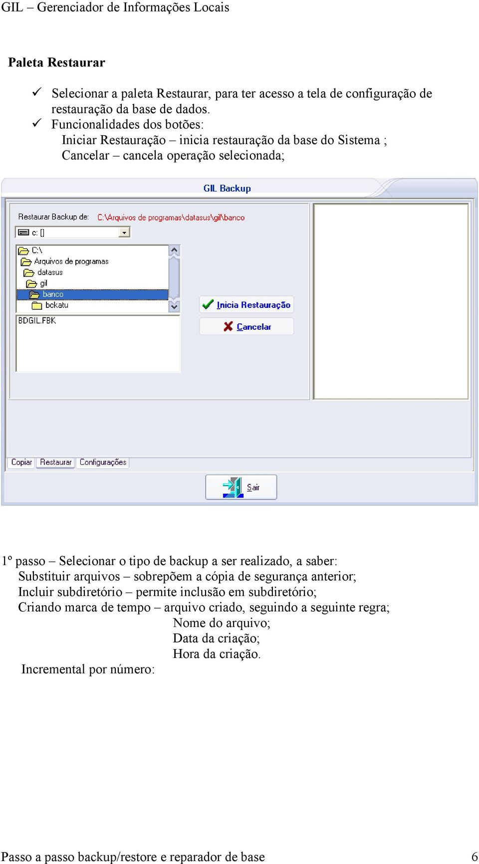 realizado, a saber: Substituir arquivos sobrepõem a cópia de segurança anterior; Incluir subdiretório permite inclusão em subdiretório; Criando