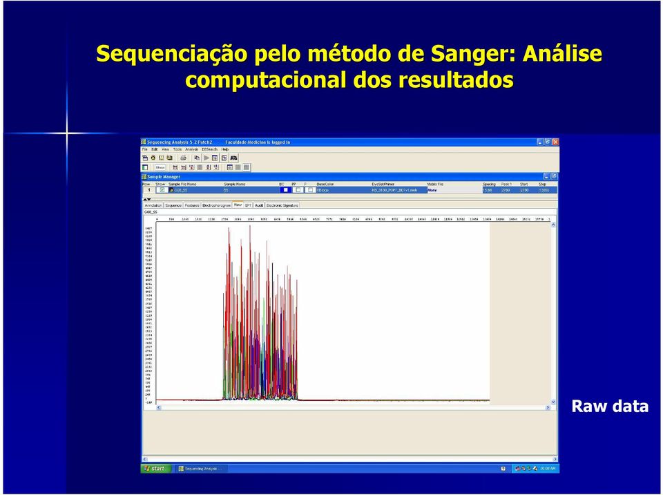 Análise computacional