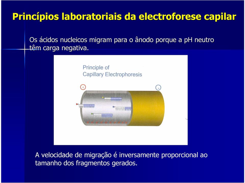 neutro têm carga negativa.