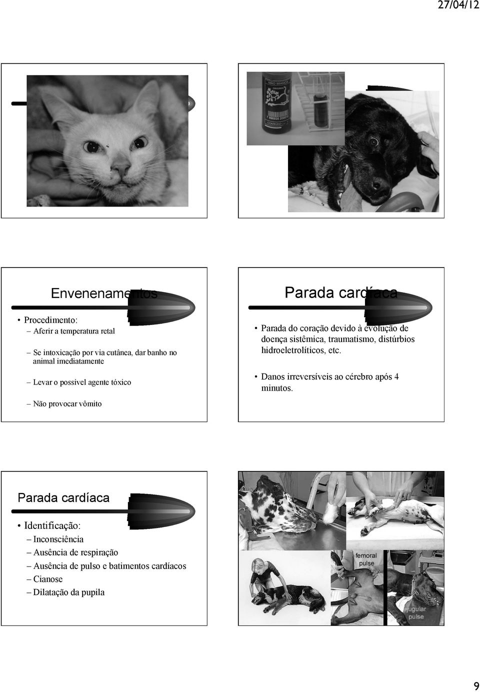 distúrbios hidroeletrolíticos, etc. Danos irreversíveis ao cérebro após 4 minutos.