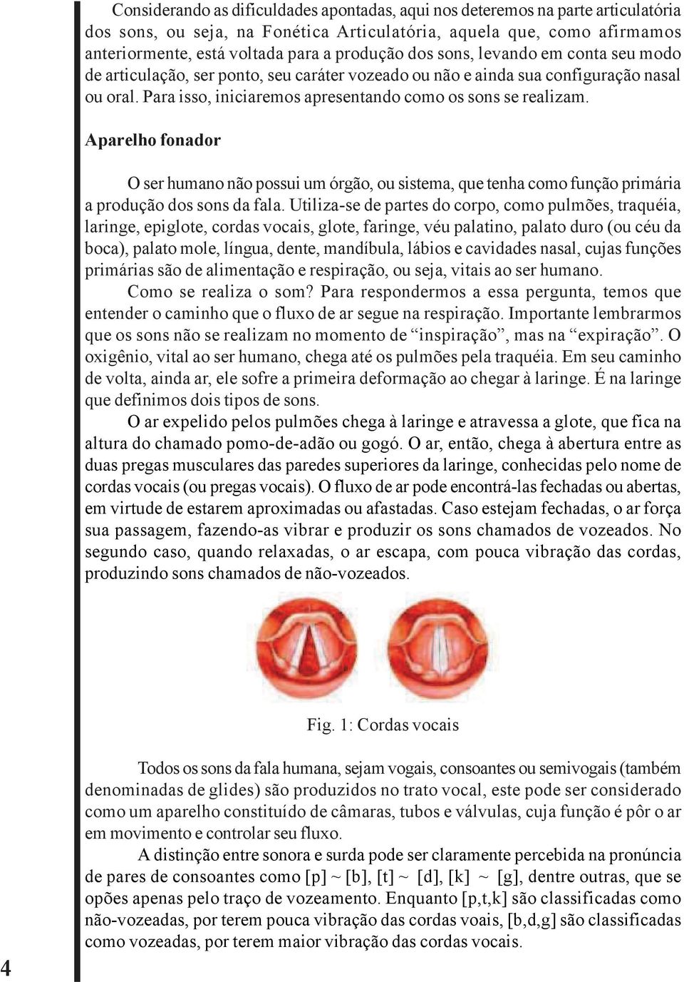 Aparelho fonador O ser humano não possui um órgão, ou sistema, que tenha como função primária a produção dos sons da fala.