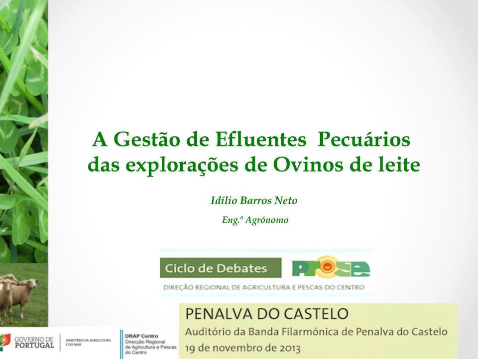 explorações de Ovinos de