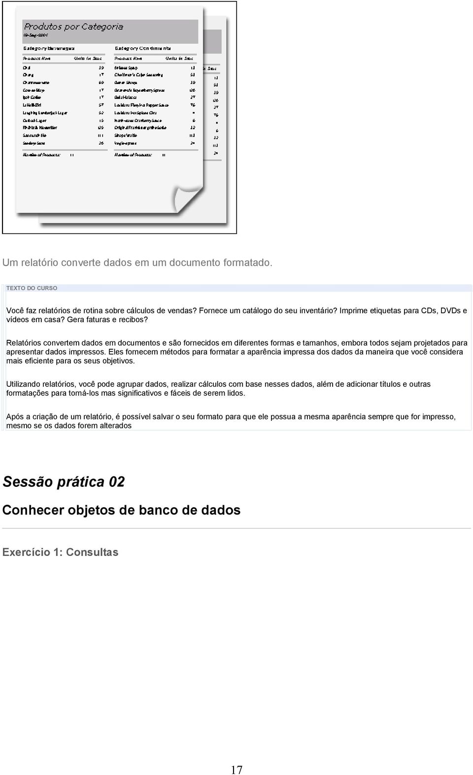 Relatórios convertem dados em documentos e são fornecidos em diferentes formas e tamanhos, embora todos sejam projetados para apresentar dados impressos.