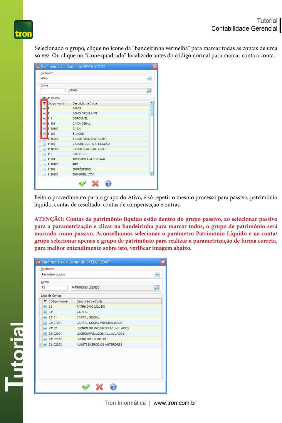 ATENÇÃO: Contas de patrimônio líquido estão dentro do grupo passivo, ao selecionar passivo para a parametrização e clicar na bandeirinha para marcar todos, o grupo de patrimônio será marcado como