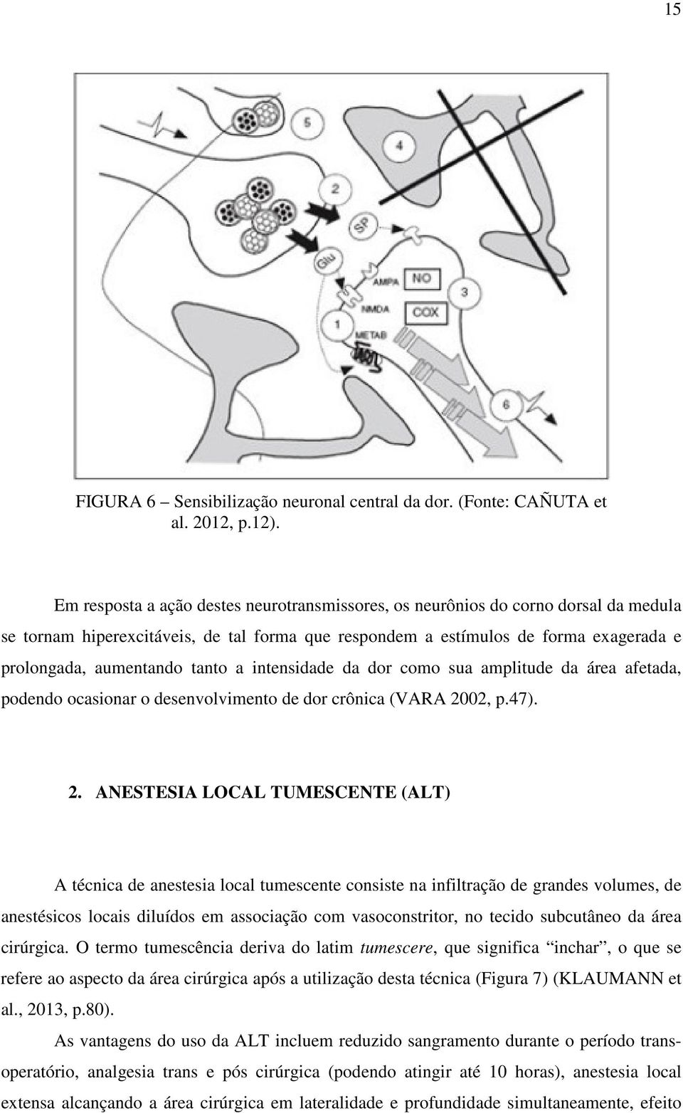 tanto a intensidade da dor como sua amplitude da área afetada, podendo ocasionar o desenvolvimento de dor crônica (VARA 20