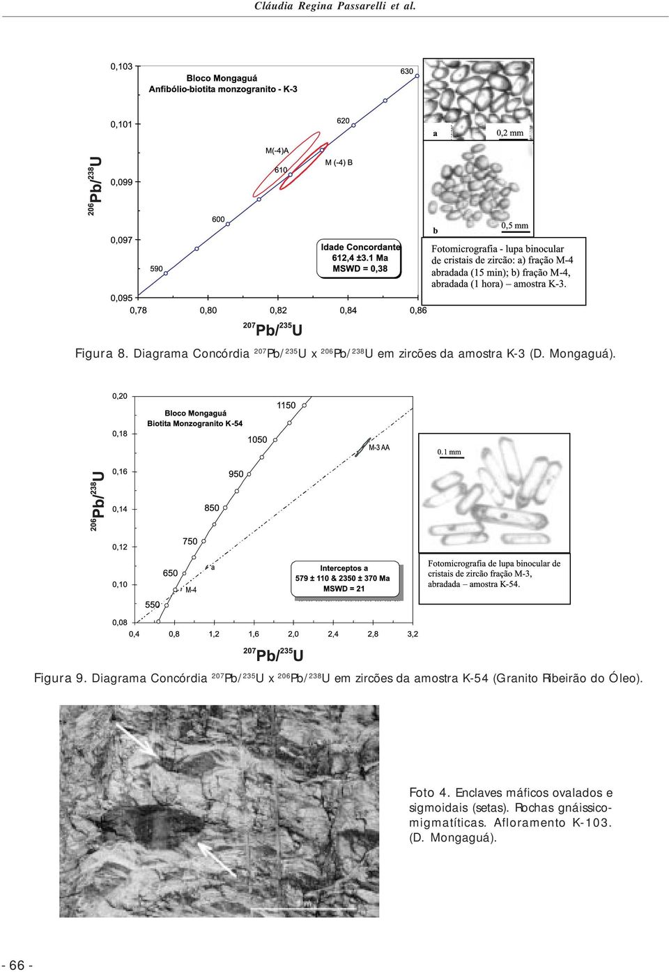 Figura 9.