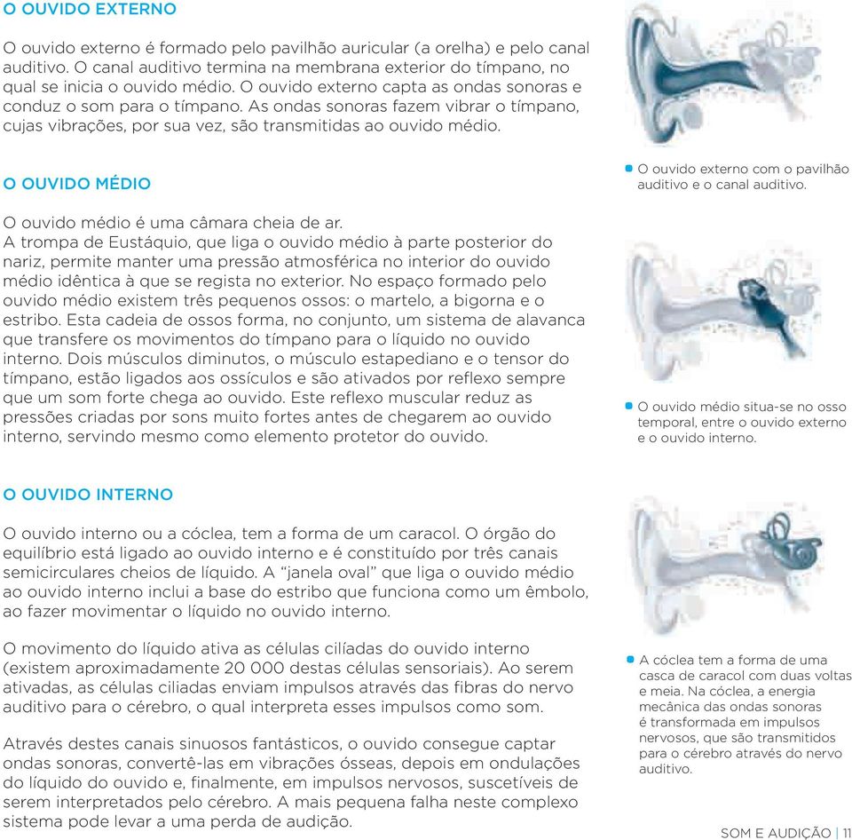 O OUVIDO MÉDIO O ouvido médio é uma câmara cheia de ar.