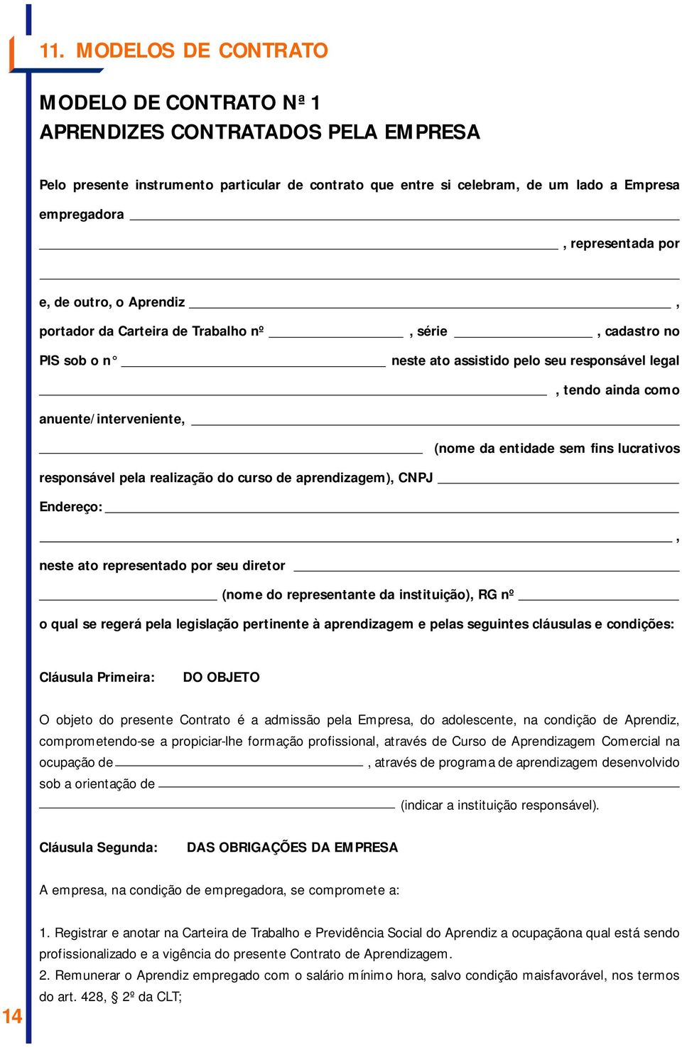 (nome da entidade sem fins lucrativos responsável pela realização do curso de aprendizagem), CNPJ Endereço:, neste ato representado por seu diretor (nome do representante da instituição), RG nº o