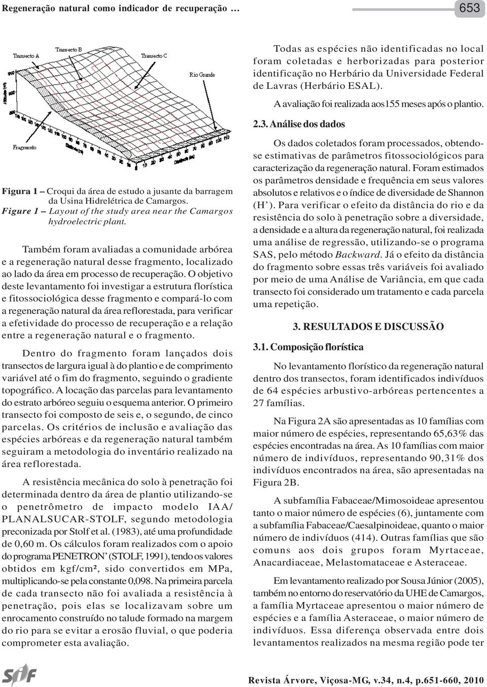 Figure 1 Layout of the study area near the Camargos hydroelectric plant.