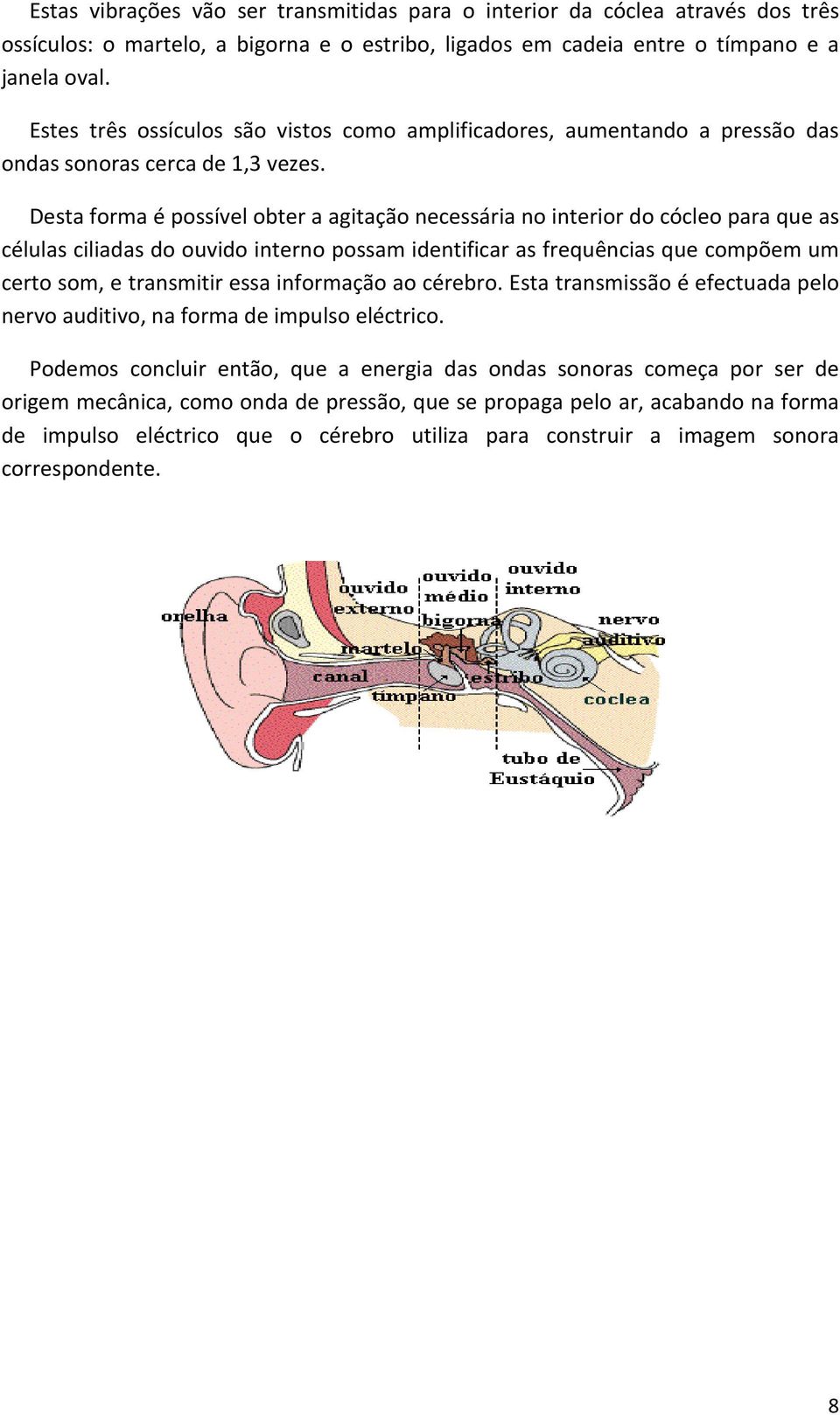 Desta forma é possível obter a agitação necessária no interior do cócleo para que as células ciliadas do ouvido interno possam identificar as frequências que compõem um certo som, e transmitir essa