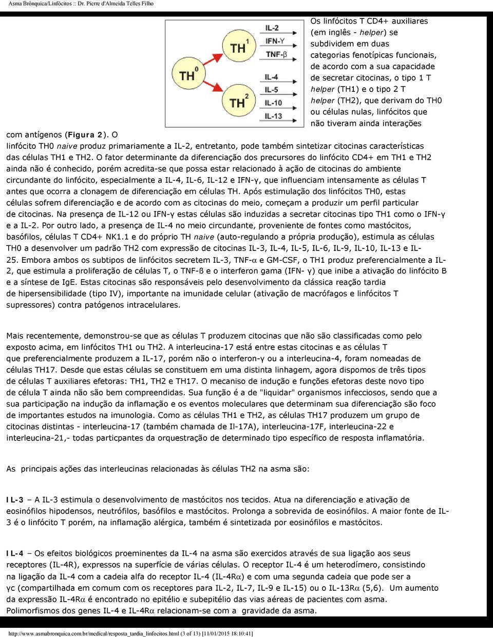 O linfócito TH0 naive produz primariamente a IL-2, entretanto, pode também sintetizar citocinas características das células TH1 e TH2.