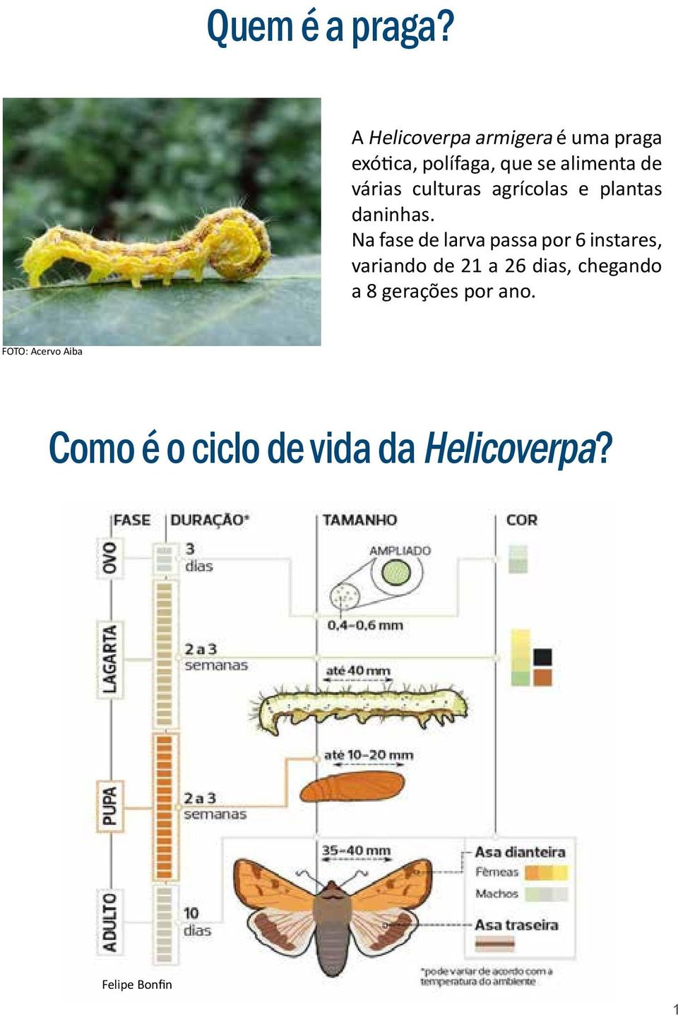 várias culturas agrícolas e plantas daninhas.