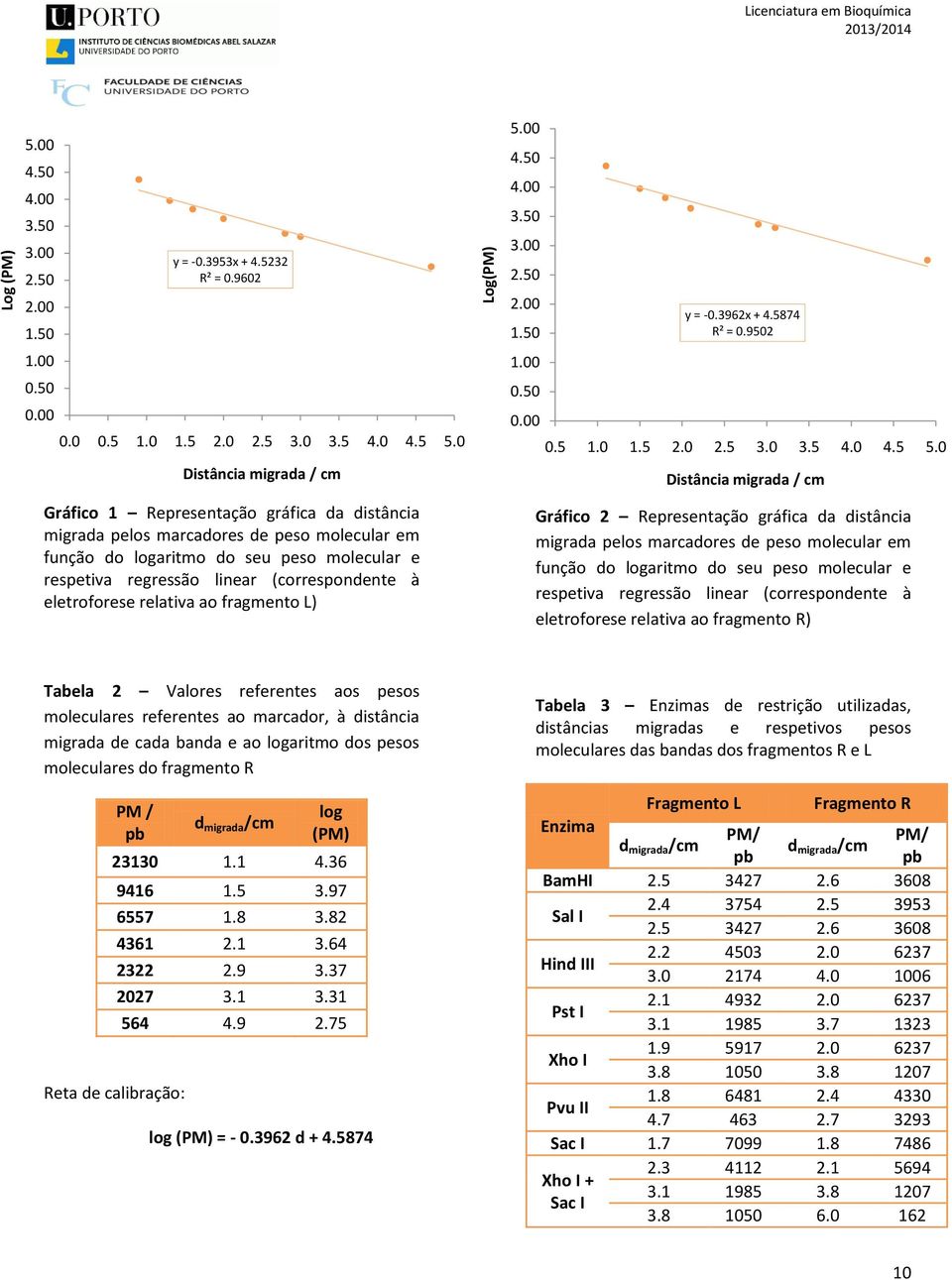 (correspondente à eletroforese relativa ao fragmento L) 5.00 4.50 4.00 3.50 3.00 2.50 2.00 1.50 1.00 0.50 0.00 y = -0.3962x + 4.5874 R² = 0.9502 0.5 1.0 1.5 2.0 2.5 3.0 3.5 4.0 4.5 5.