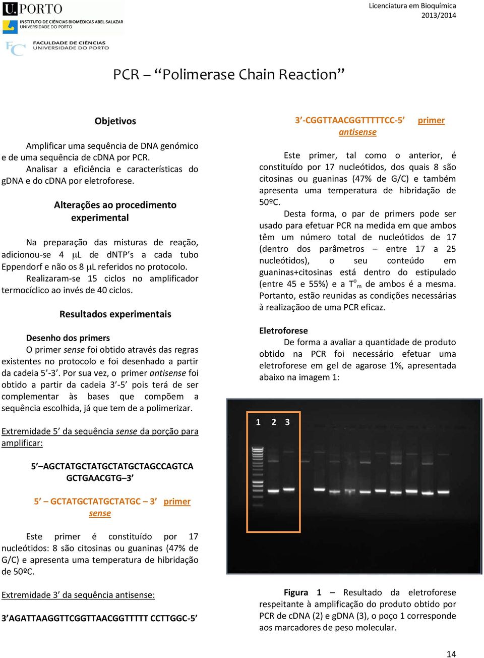 Realizaram-se 15 ciclos no amplificador termocíclico ao invés de 40 ciclos.