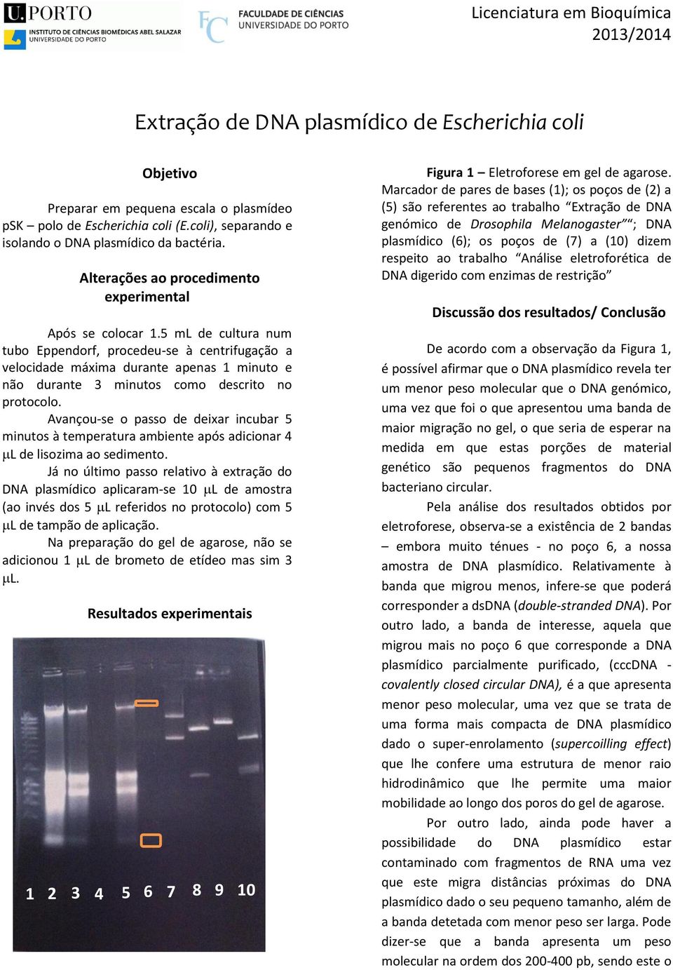 5 ml de cultura num tubo Eppendorf, procedeu-se à centrifugação a velocidade máxima durante apenas 1 minuto e não durante 3 minutos como descrito no protocolo.