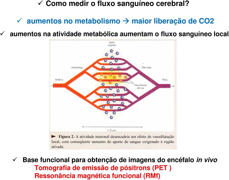 metabólica aumentam o fluxo sanguíneo local Base funcional para obtenção