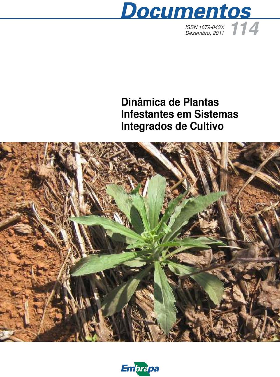 Plantas Infestantes em