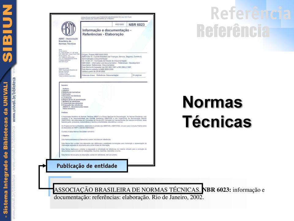 NBR 6023: informação e documentação: