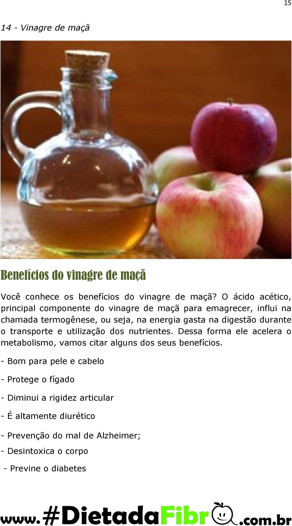 digestão durante o transporte e utilização dos nutrientes. Dessa forma ele acelera o metabolismo, vamos citar alguns dos seus benefícios.