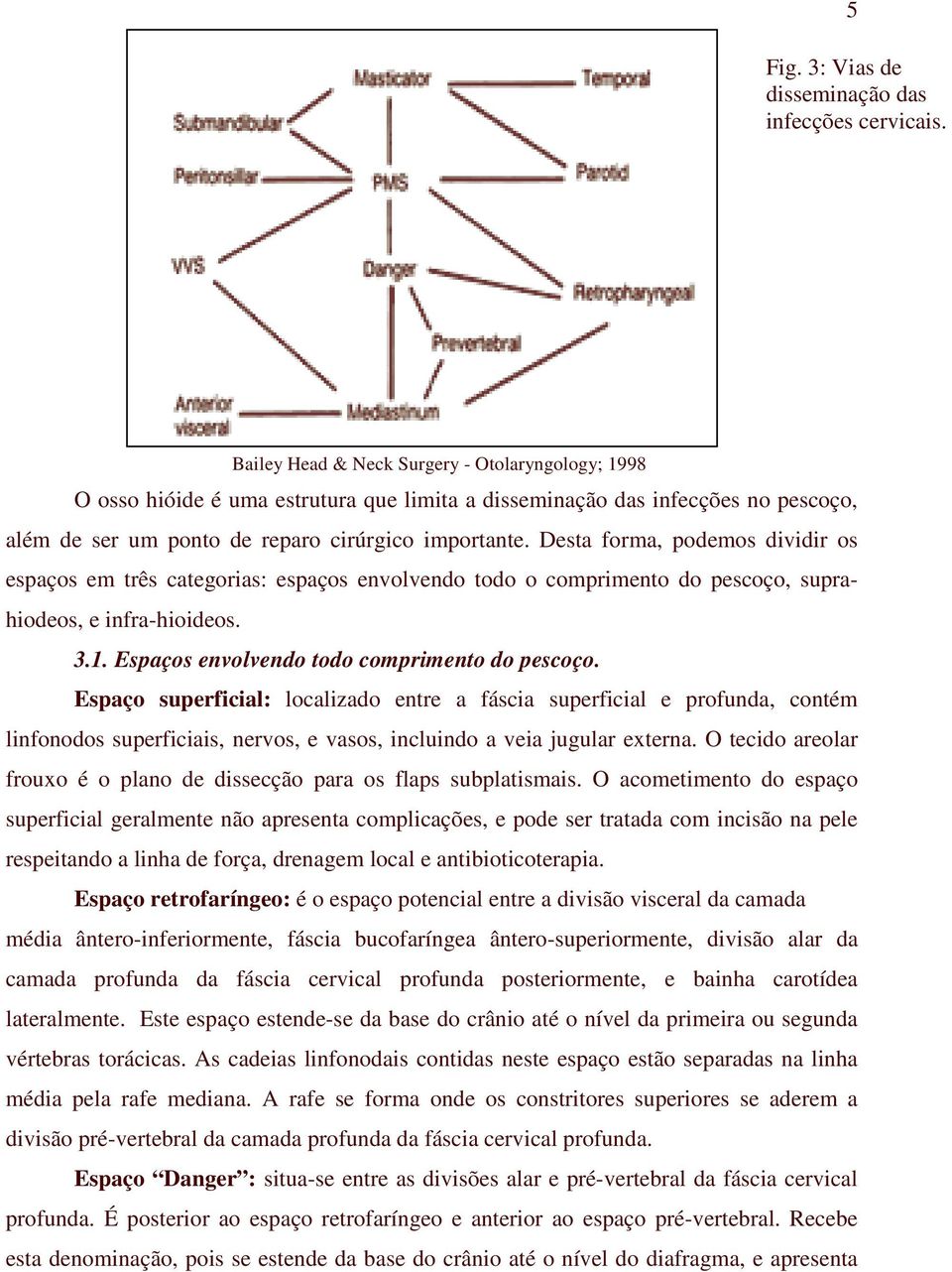 Desta forma, podemos dividir os espaços em três categorias: espaços envolvendo todo o comprimento do pescoço, suprahiodeos, e infra-hioideos. 3.1. Espaços envolvendo todo comprimento do pescoço.