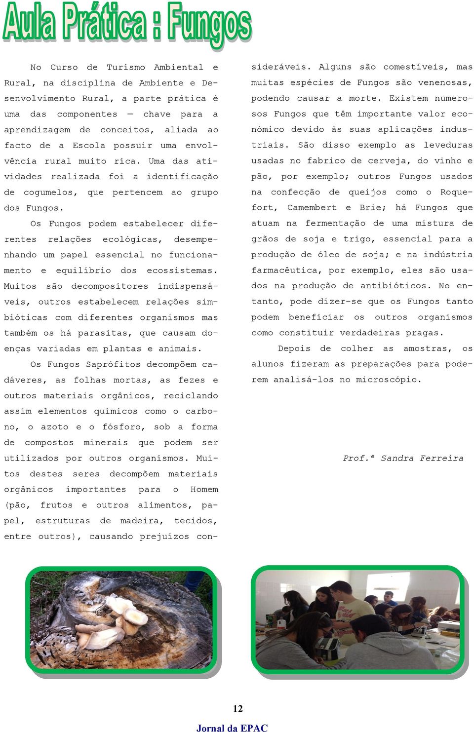 Os Fungos podem estabelecer diferentes relações ecológicas, desempenhando um papel essencial no funcionamento e equilíbrio dos ecossistemas.