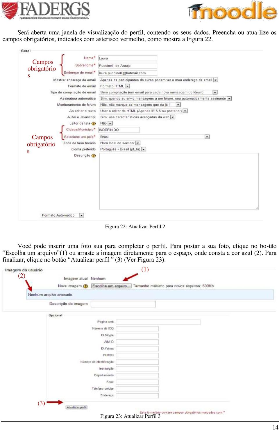 Campos obrigatório s Campos obrigatório s Figura 22: Atualizar Perfil 2 Você pode inserir uma foto sua para completar o perfil.