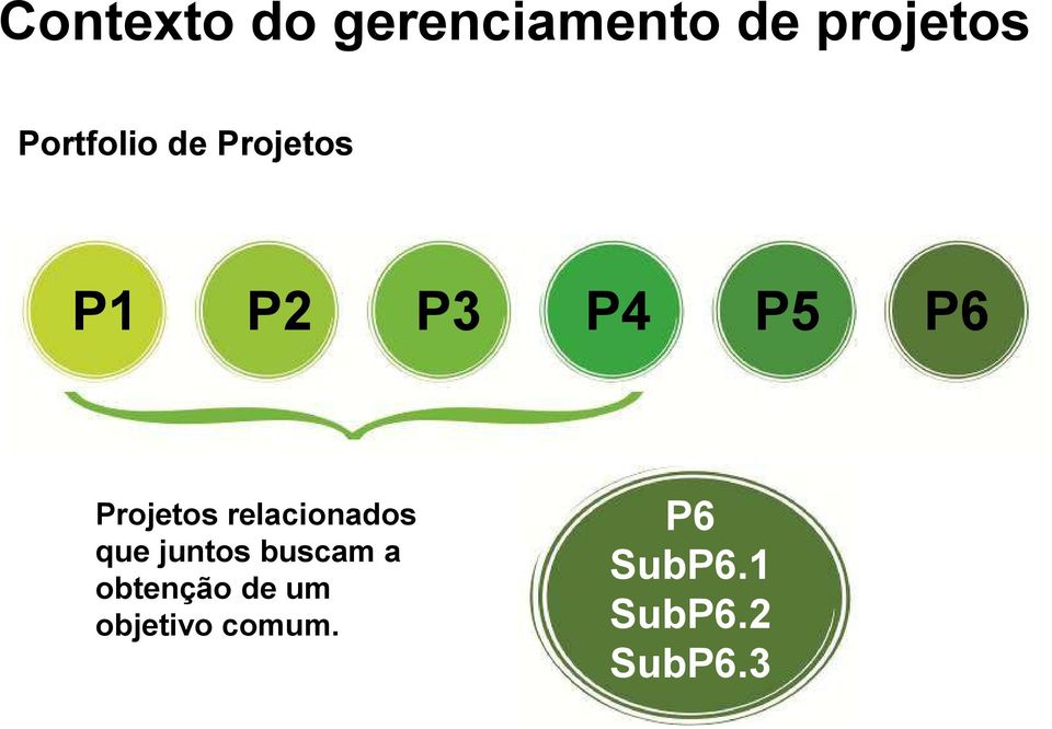 Projetos relacionados que juntos buscam a