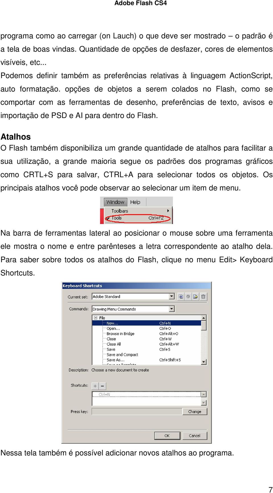 opções de objetos a serem colados no Flash, como se comportar com as ferramentas de desenho, preferências de texto, avisos e importação de PSD e AI para dentro do Flash.