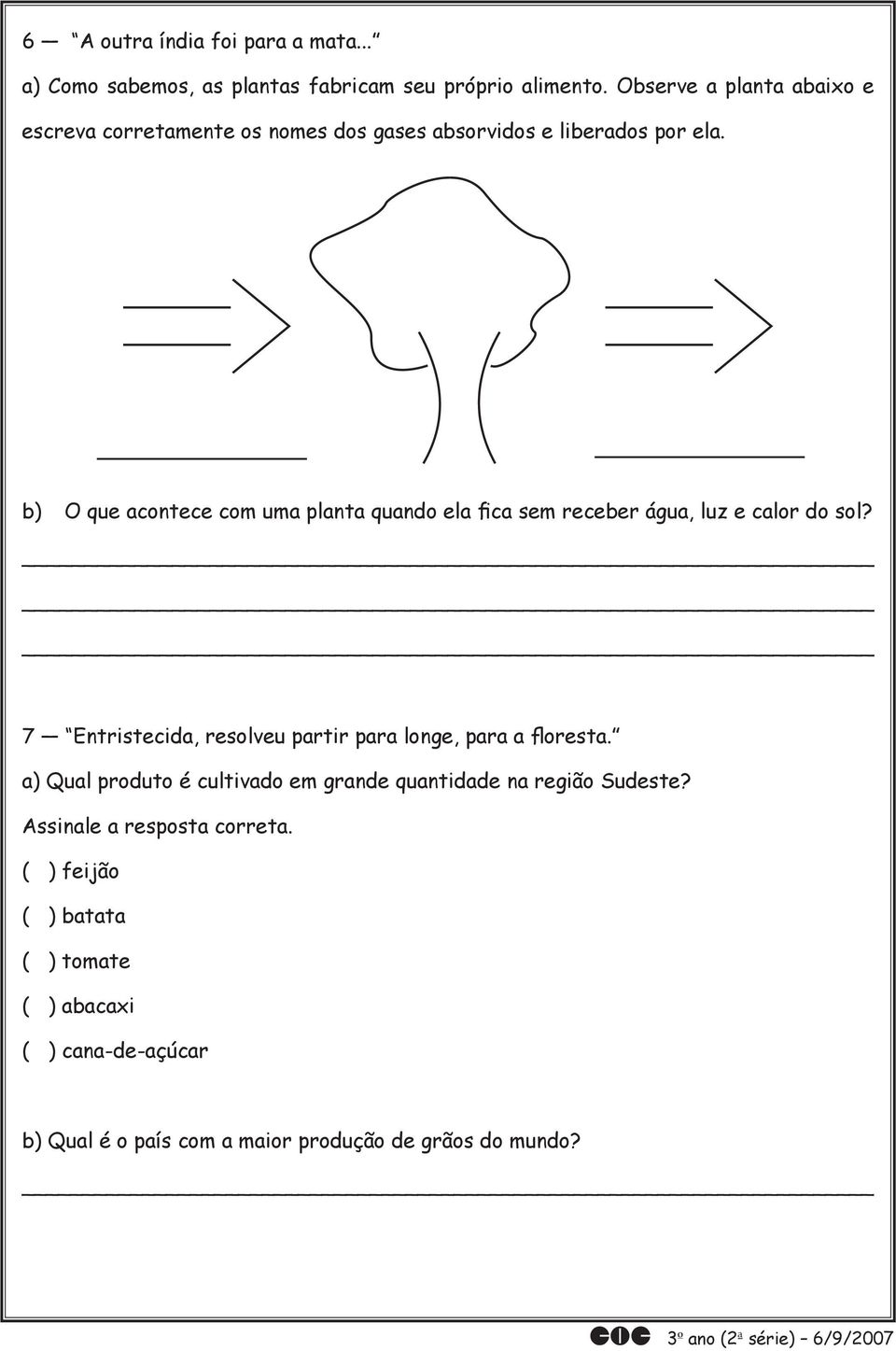 b) O que acontece com uma planta quando ela fica sem receber água, luz e calor do sol?