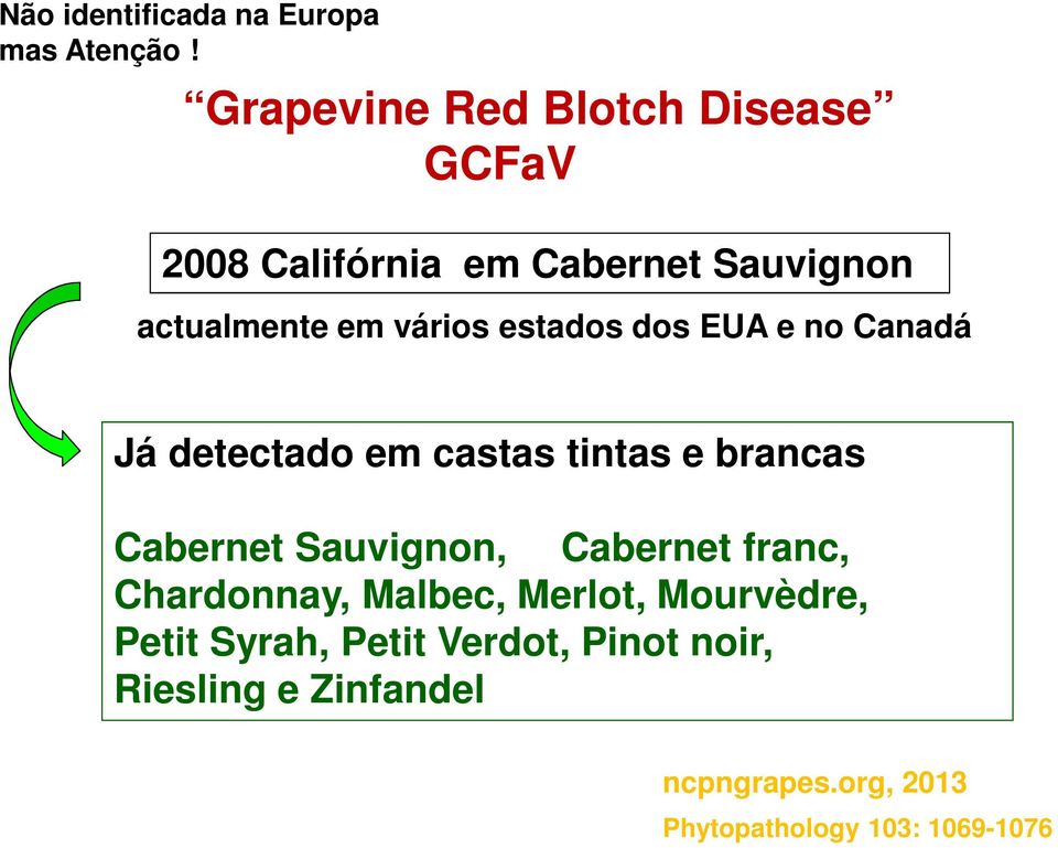 estados dos EUA e no Canadá Já detectado em castas tintas e brancas Cabernet Sauvignon, Cabernet