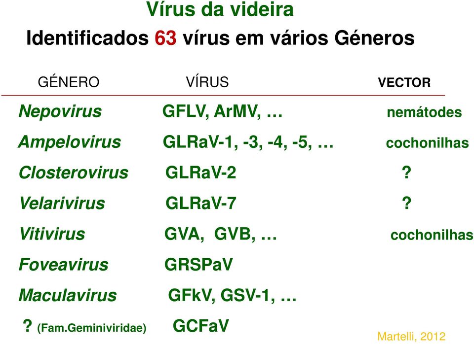 Closterovirus GLRaV-2? Velarivirus GLRaV-7?