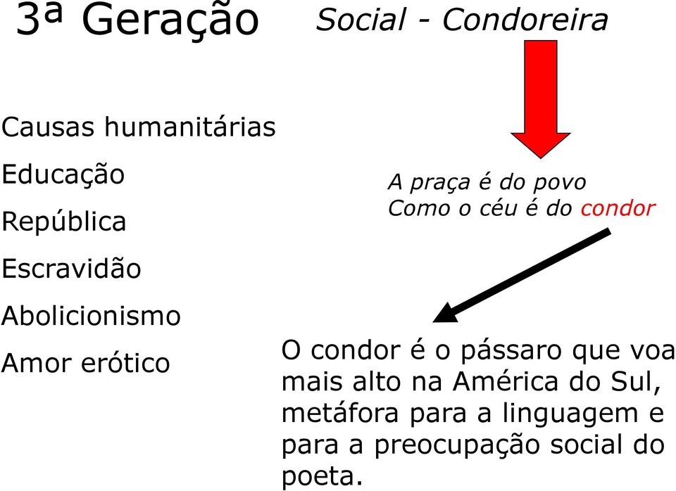 Como o céu é do condor O condor é o pássaro que voa mais alto na