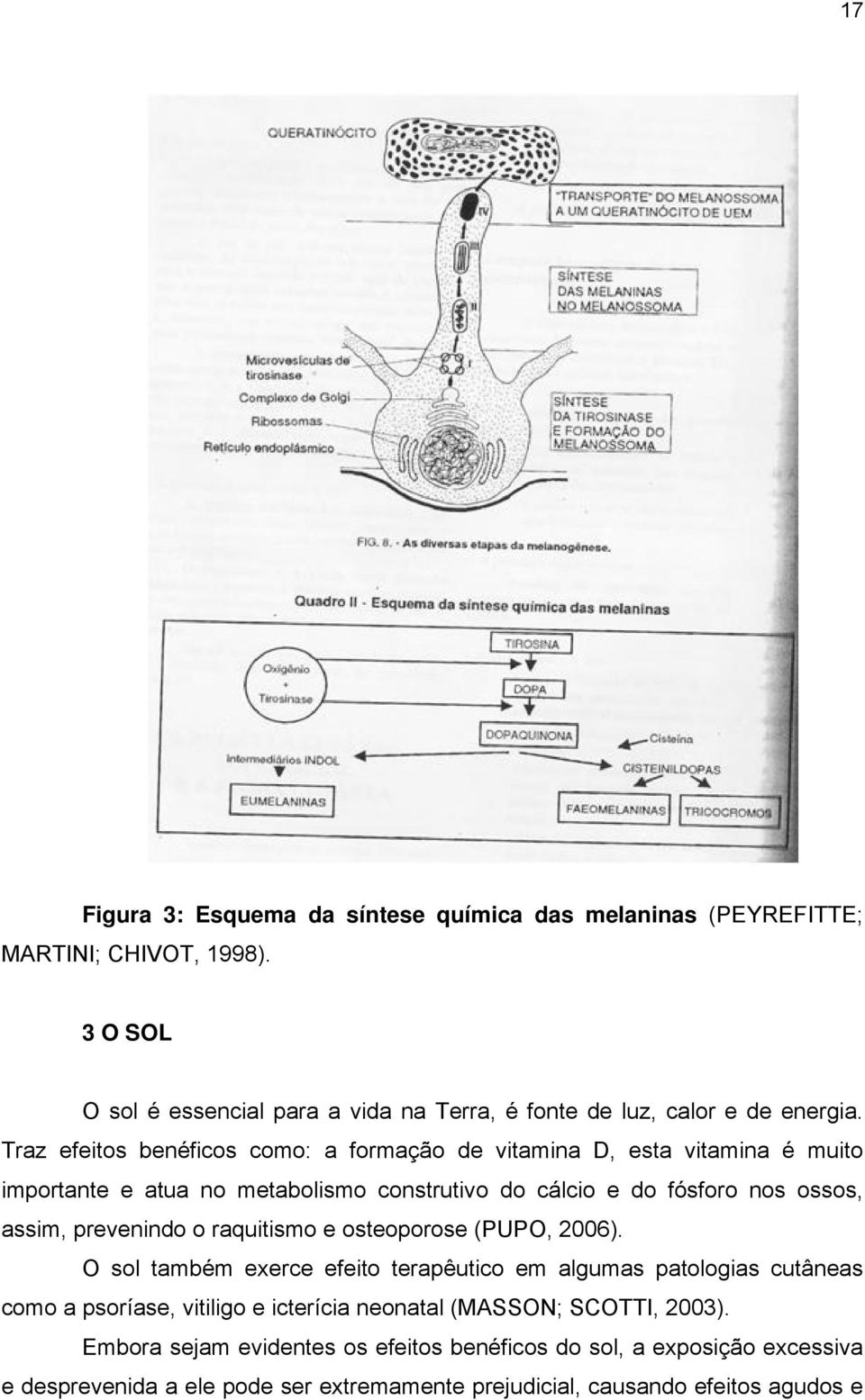 Traz efeitos benéficos como: a formação de vitamina D, esta vitamina é muito importante e atua no metabolismo construtivo do cálcio e do fósforo nos ossos, assim,