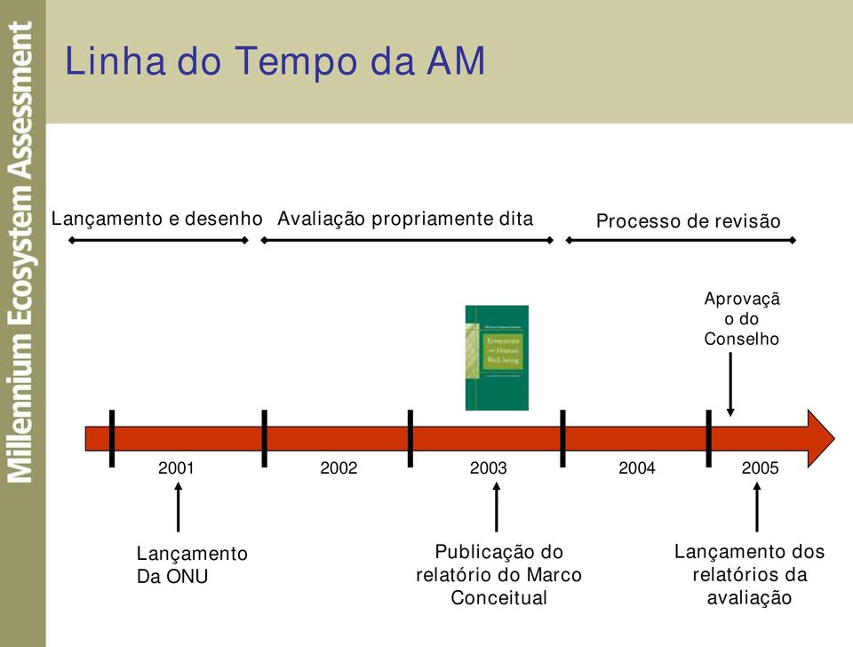 Conselho 2001 2002 2003 2004 2005 Lançamento Da ONU