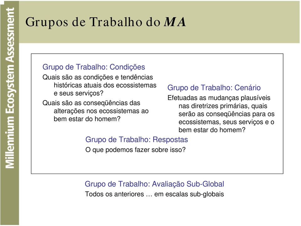 Grupo de Trabalho: Cenário Efetuadas as mudanças plausíveis nas diretrizes primárias, quais serão as conseqüências para os