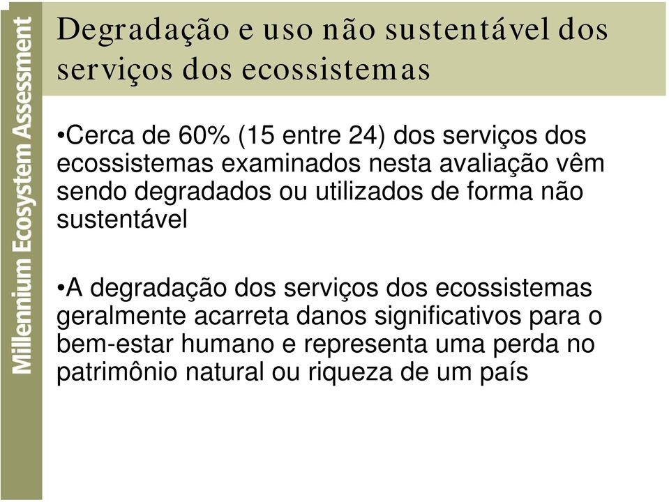 forma não sustentável A degradação dos serviços dos ecossistemas geralmente acarreta danos