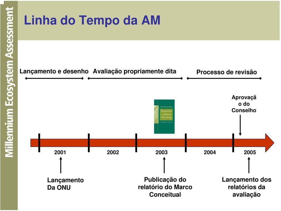 2001 2002 2003 2004 2005 Lançamento Da ONU Publicação do