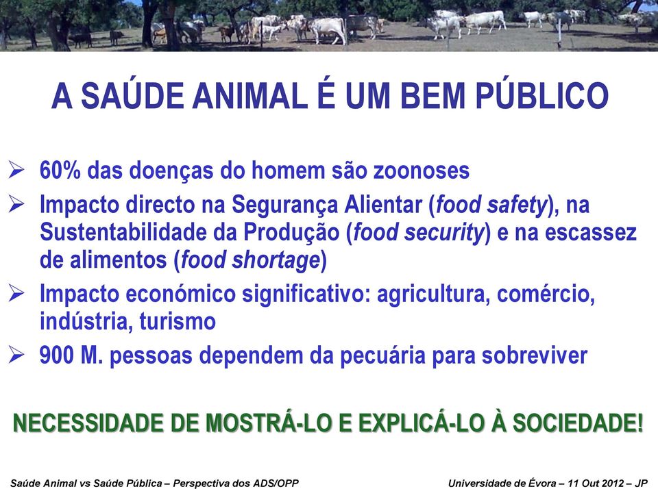 Impacto económico significativo: agricultura, comércio, indústria, turismo 900 M.