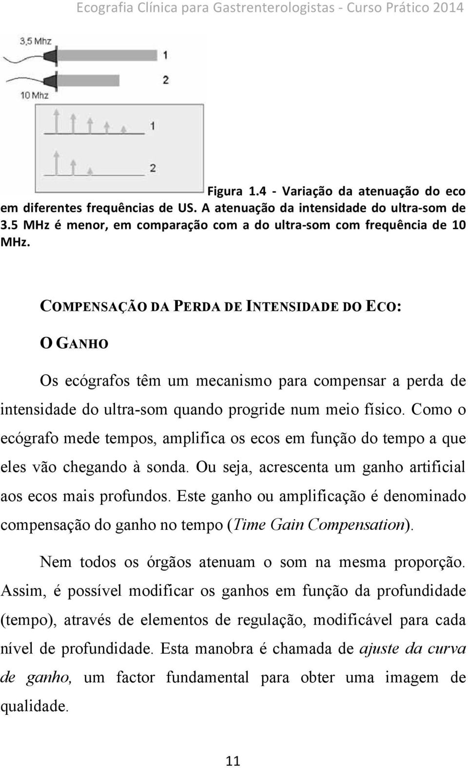 COMPENSAÇÃO DA PERDA DE INTENSIDADE DO ECO: O GANHO Os ecógrafos têm um mecanismo para compensar a perda de intensidade do ultra-som quando progride num meio físico.