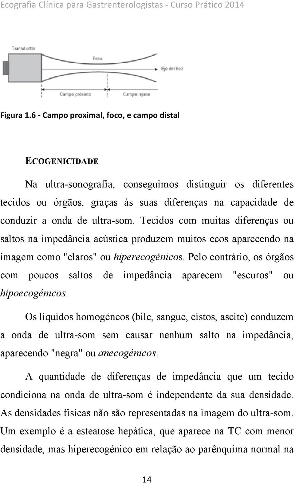 ultra-som. Tecidos com muitas diferenças ou saltos na impedância acústica produzem muitos ecos aparecendo na imagem como "claros" ou hiperecogénicos.