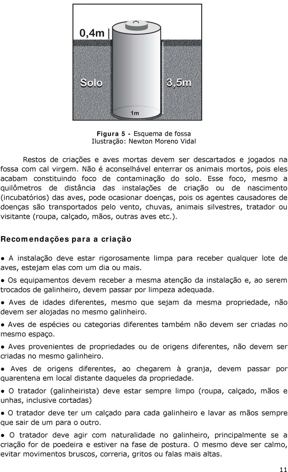 Esse foco, mesmo a quilômetros de distância das instalações de criação ou de nascimento (incubatórios) das aves, pode ocasionar doenças, pois os agentes causadores de doenças são transportados pelo