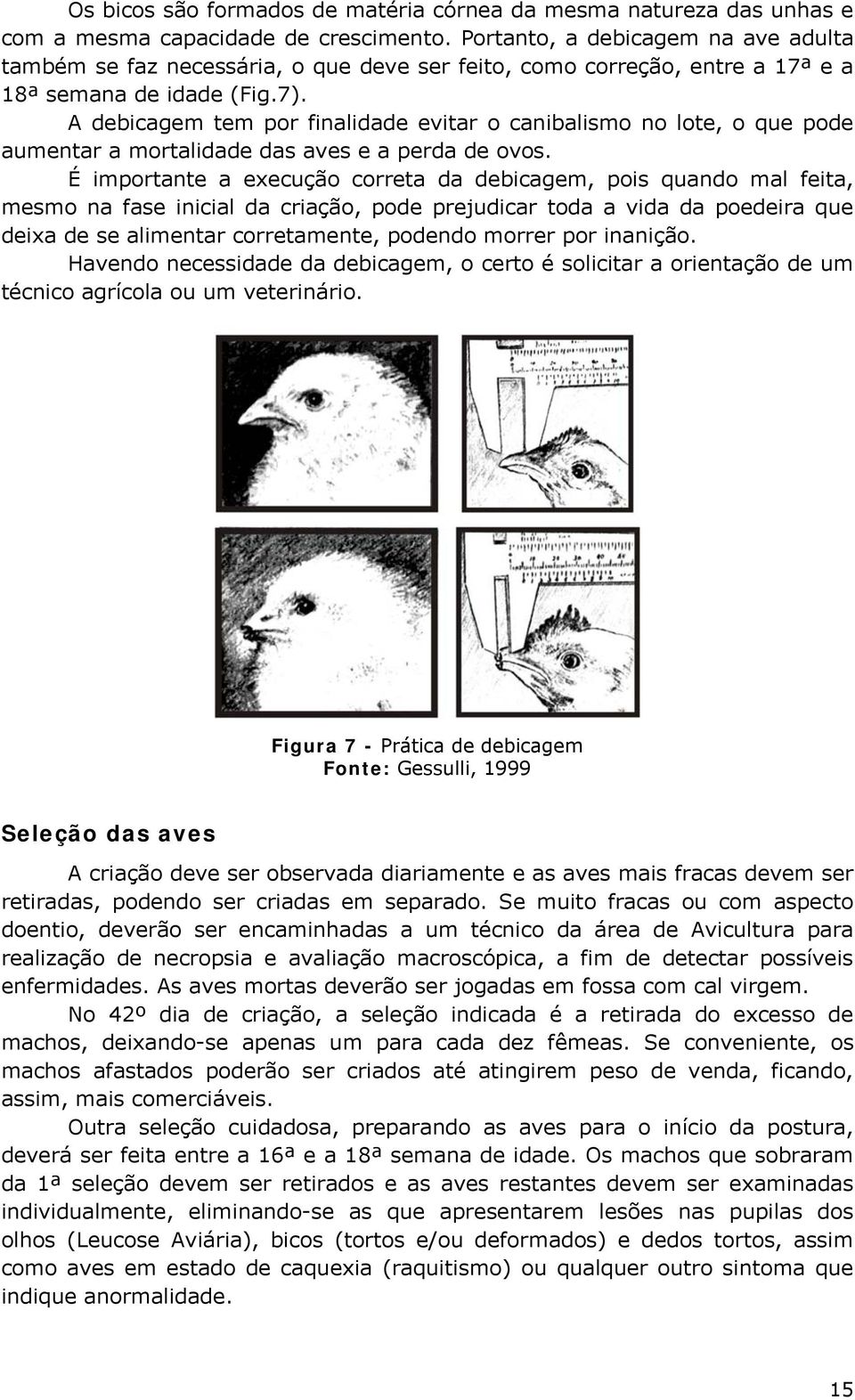 A debicagem tem por finalidade evitar o canibalismo no lote, o que pode aumentar a mortalidade das aves e a perda de ovos.