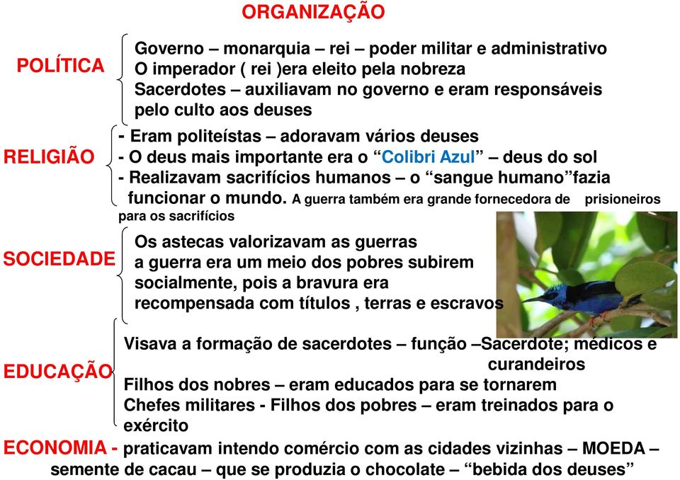 A guerra também era grande fornecedora de prisioneiros para os sacrifícios Os astecas valorizavam as guerras a guerra era um meio dos pobres subirem socialmente, pois a bravura era recompensada com