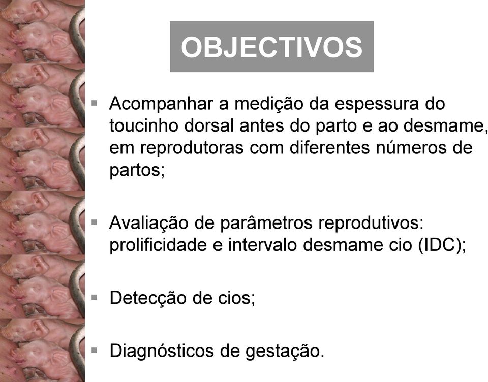 de partos; Avaliação de parâmetros reprodutivos: prolificidade e