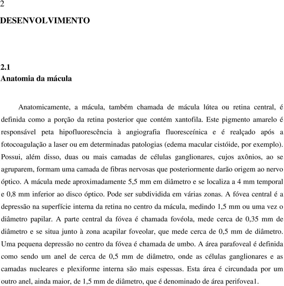 Possui, além disso, duas ou mais camadas de células ganglionares, cujos axônios, ao se agruparem, formam uma camada de fibras nervosas que posteriormente darão origem ao nervo óptico.