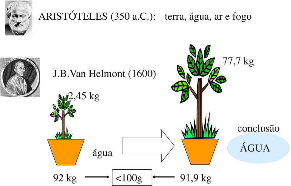 Van Helmont (1600) 77,7 kg 2,45