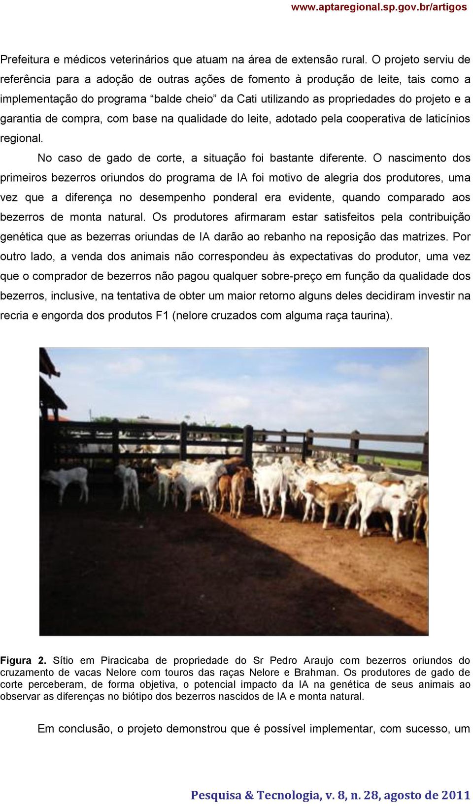 garantia de compra, com base na qualidade do leite, adotado pela cooperativa de laticínios regional. No caso de gado de corte, a situação foi bastante diferente.